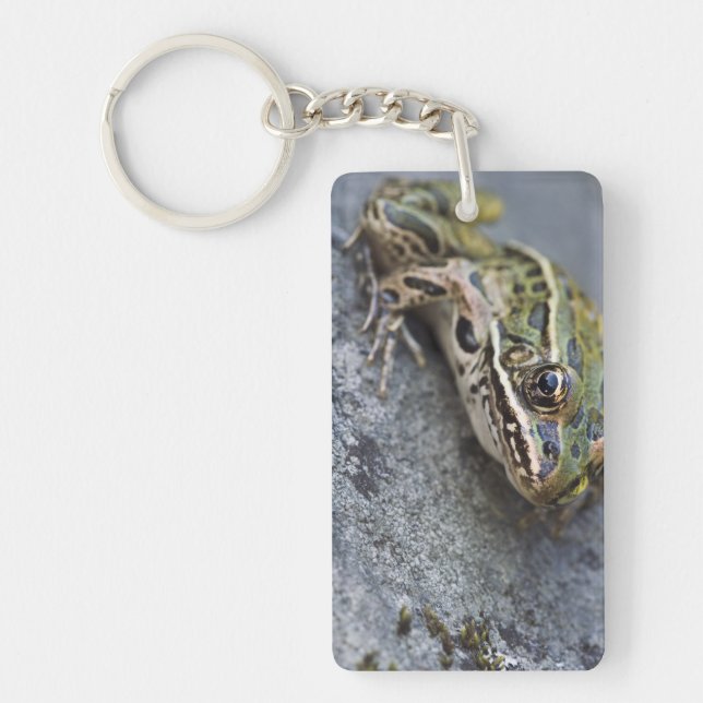 Northern Leopard frog, See-through Island, Keychain (Front)
