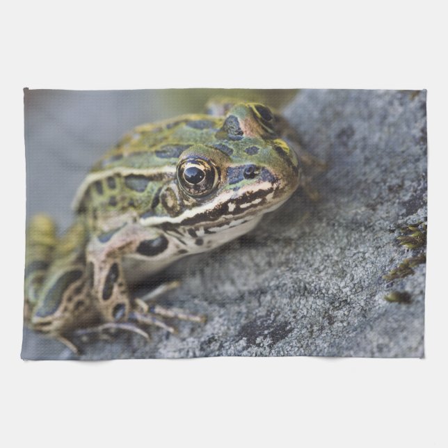 Northern Leopard frog, See-through Island, Kitchen Towel (Horizontal)
