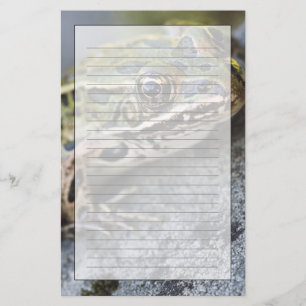 Northern Leopard frog, See-through Island, Stationery