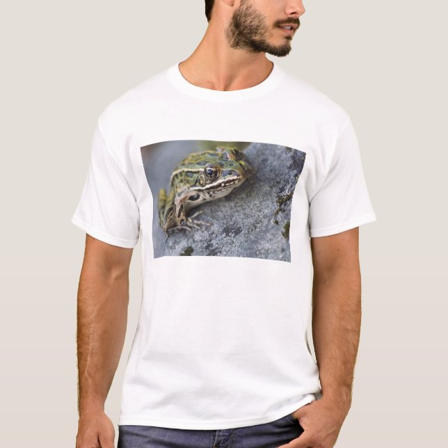 Northern Leopard frog, See-through Island, T-Shirt (Front)