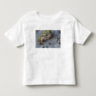 Northern Leopard frog, See-through Island, Toddler T-shirt