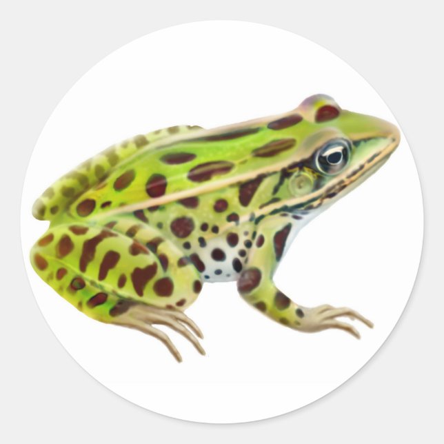 Northern Leopard Frog Sticker (Front)