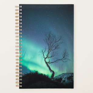 Northern Light Tree Planner