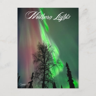 Northern Lights 2 - Postcard