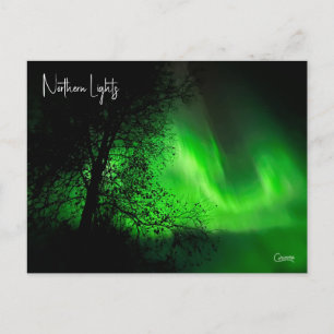 Northern Lights 5 - Postcard