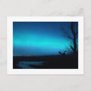 Northern Lights and a pond Postcard