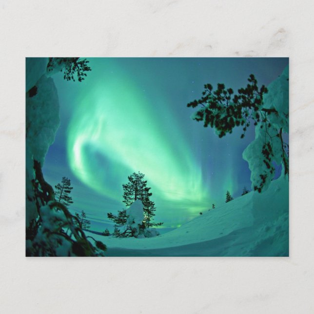 Northern Lights at Winter Postcard (Front)