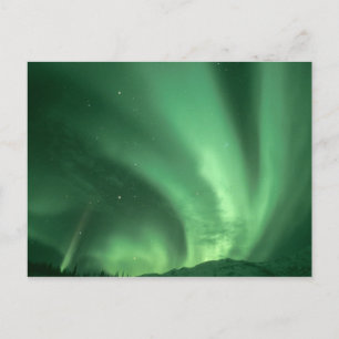 Northern lights, Aurora borealis, over foothills Postcard