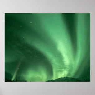 Northern lights, Aurora borealis, over foothills Poster