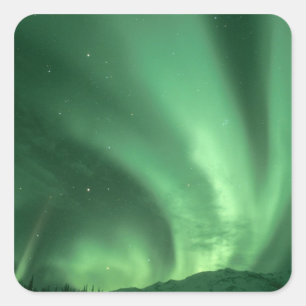 Northern lights, Aurora borealis, over foothills Square Sticker