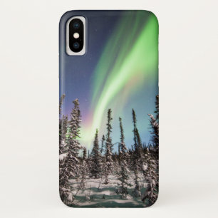 Northern Lights   Denali National Park Case-Mate iPhone Case