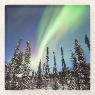 Northern Lights Denali National Park Glass Coaster