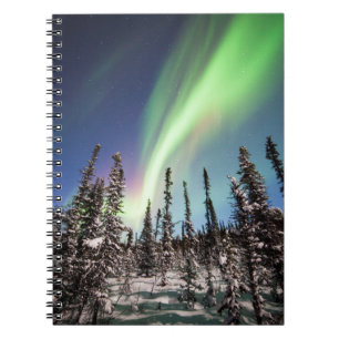 Northern Lights Denali National Park Notebook