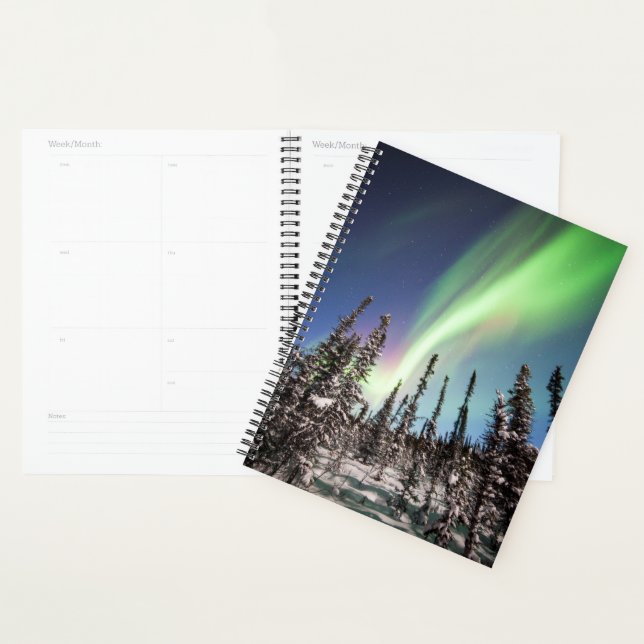 Northern Lights | Denali National Park Planner (Display)