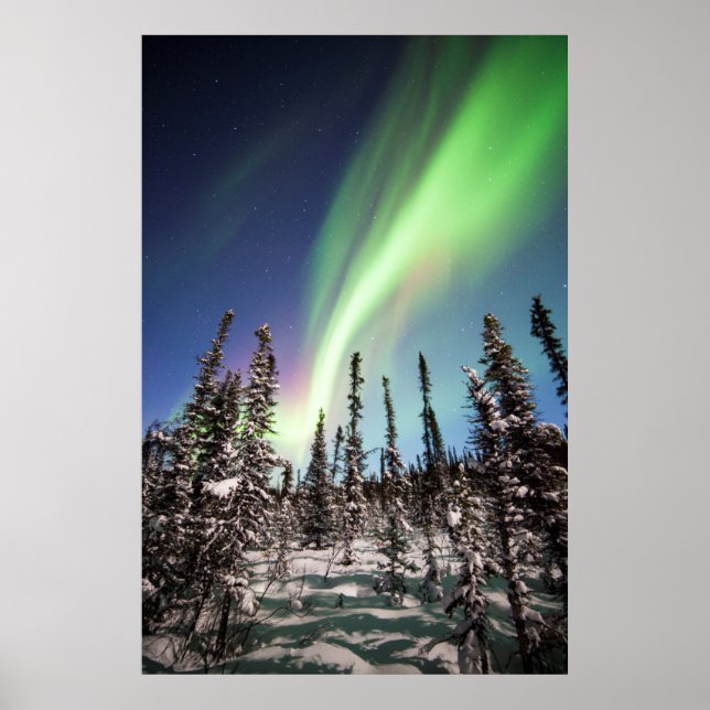 Northern Lights | Denali National Park Poster (Front)