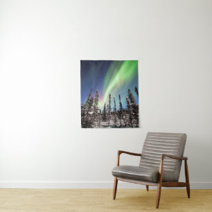 Northern Lights Denali National Park Tapestry