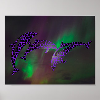 Northern Lights Dolphin Dolphins Landscapes Skies Poster