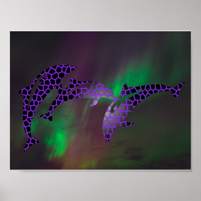 Northern Lights Dolphin Dolphins Landscapes Skies Poster (Front)