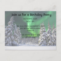 Northern lights during winter