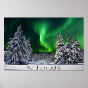 Northern lights during winter poster