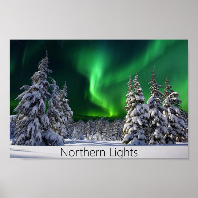 Northern lights during winter poster (Front)