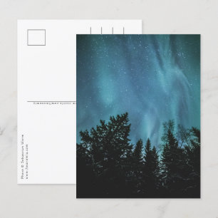 Northern Lights Forest Postcard
