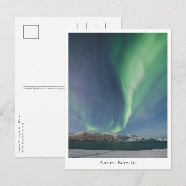 Northern Lights in Norway Postcard (Front/Back)