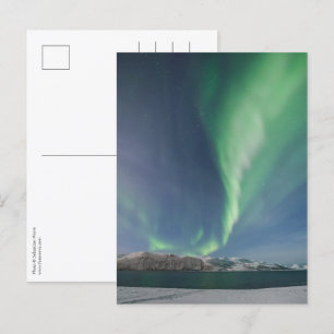 Northern Lights in Norway Postcard