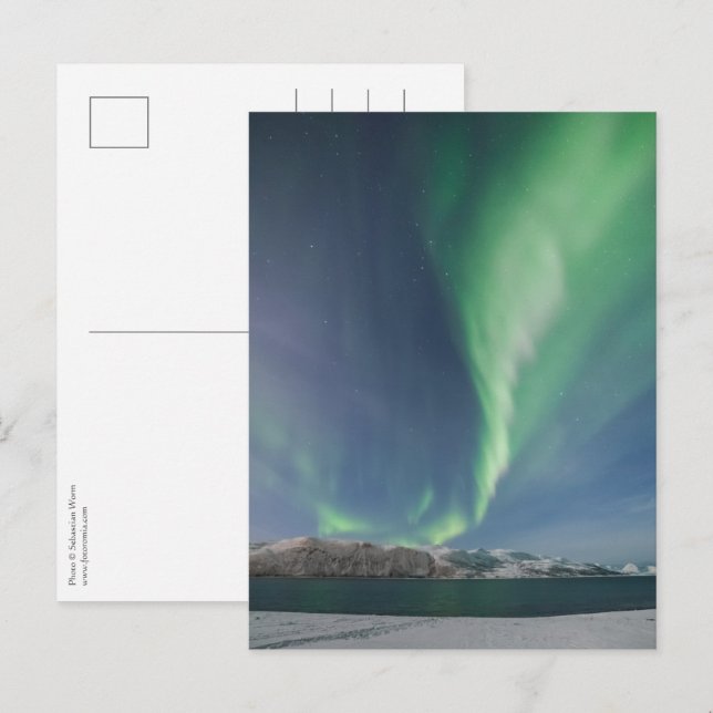 Northern Lights in Norway Postcard (Front/Back)