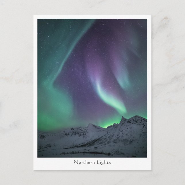 Northern Lights Landscape Photo Postcard (Front)