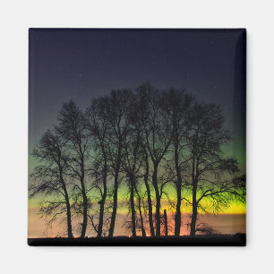 Northern Lights Manitoba Canada Grande Pointe Magnet