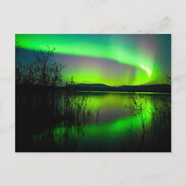 Northern lights mirrored on lake postcard (Front)