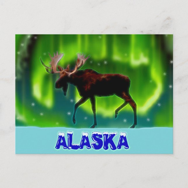 Northern Lights Moose Postcard (Front)
