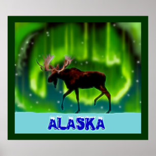 Northern Lights Moose Poster