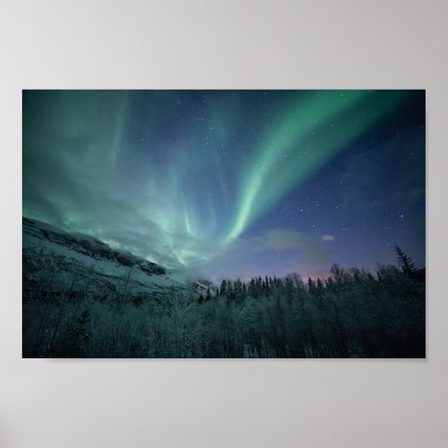Northern Lights North Norway Poster (Front)