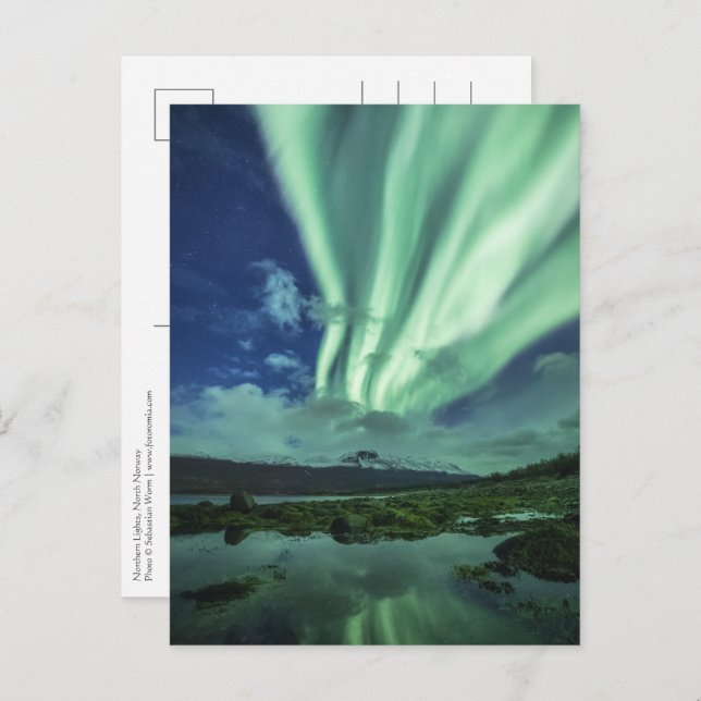 Northern Lights Norway Postcard (Front/Back)