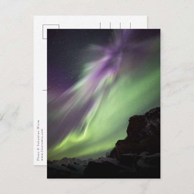 Northern Lights Norway Postcard (Front/Back)