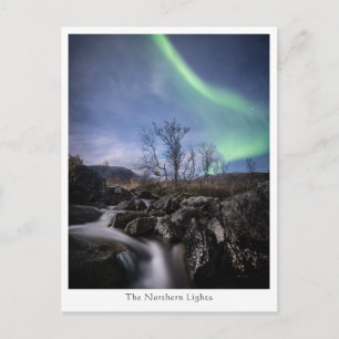 Northern Lights Norway Postcard