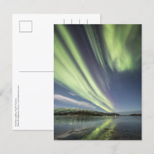 Northern Lights Norway Postcard