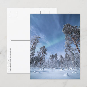 Northern Lights Norway Postcard
