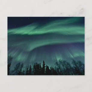 Northern Lights of Alaska, ZTD Postcard