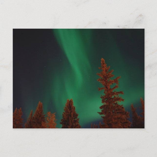 Northern Lights over Ft. Wainwright, AK Postcard (Front)