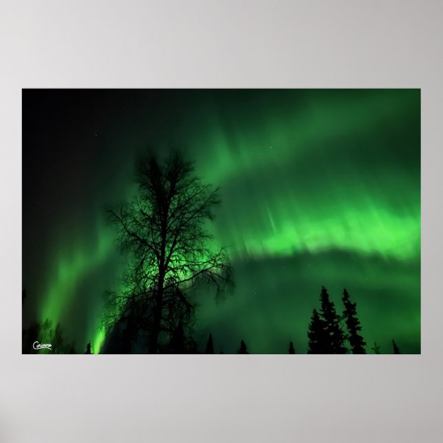 Northern Lights - Poster (Front)