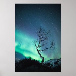 Northern Lights Poster