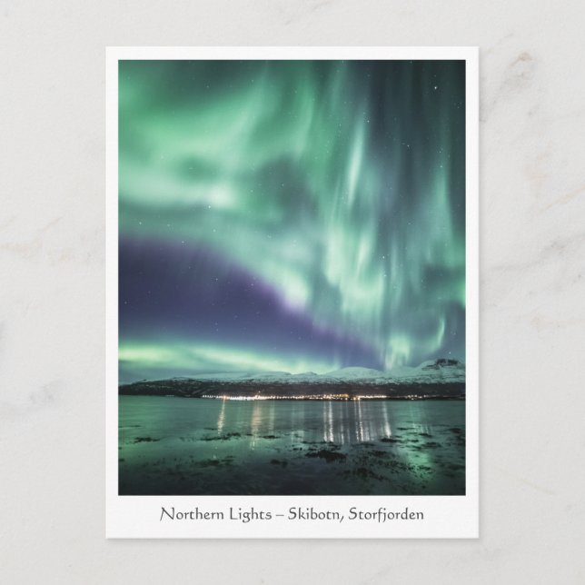 Northern Lights Skibotn Postcard (Front)