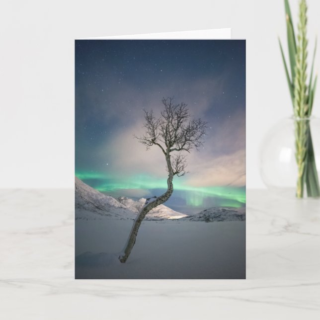 Northern Lights Tree Card (Front)