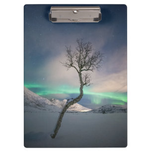 Northern Lights Tree Clipboard