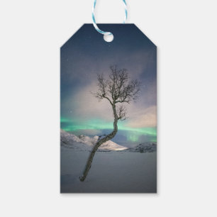 Northern Lights Tree Gift Tags
