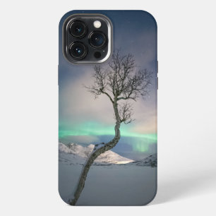 Northern Lights Tree iPhone 13 Pro Max Case