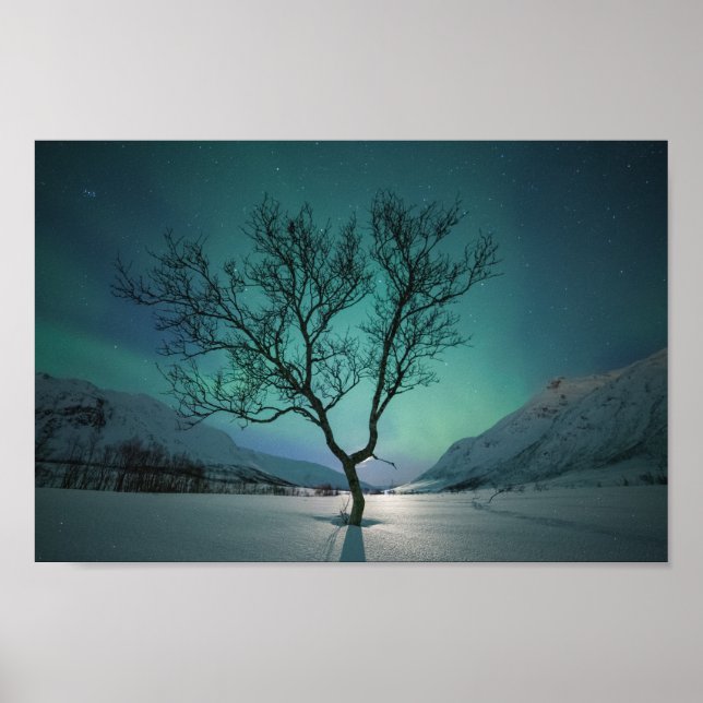Northern Lights Tree Poster (Front)